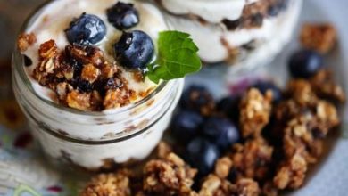 Blueberry Yogurt Recipe